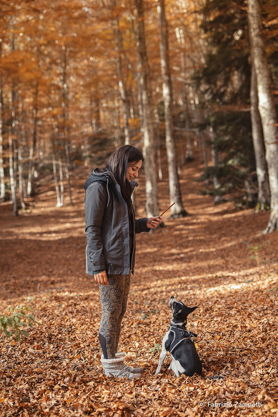 Samyang AF 50mm f/1.4 FE II Lens by  in  - EC MALL