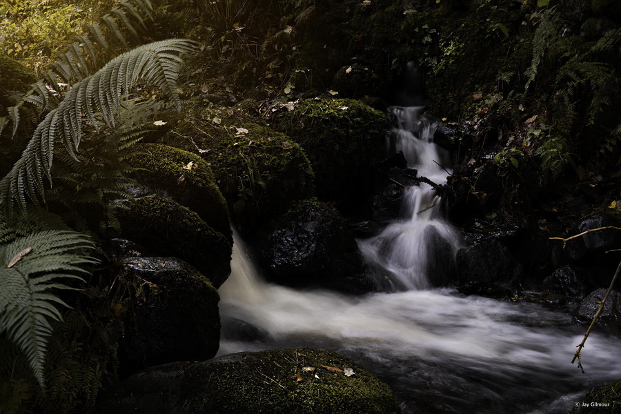 Samyang AF 50mm f/1.4 FE II Lens by  in  - EC MALL