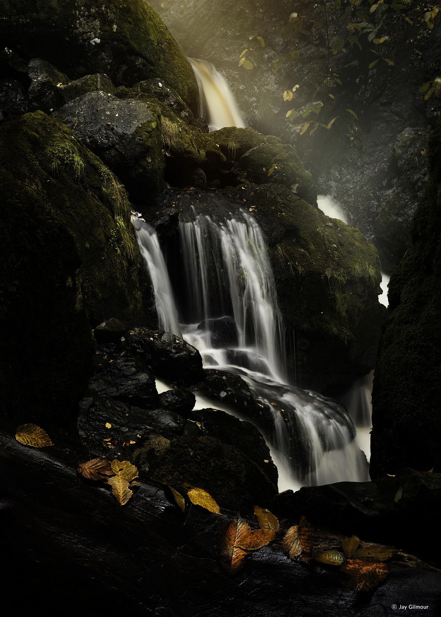 Samyang AF 50mm f/1.4 FE II Lens by in - EC MALL