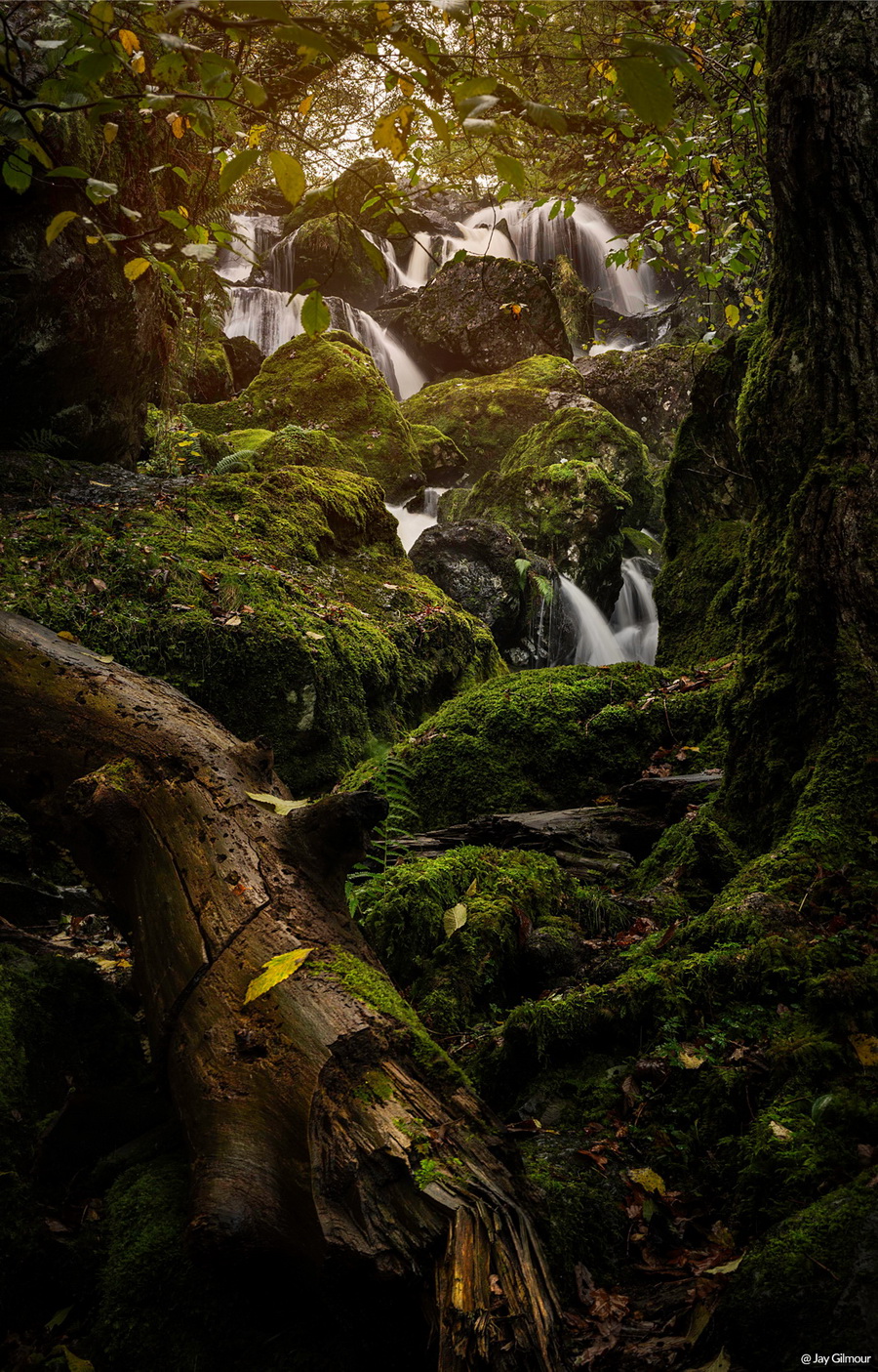 Samyang AF 50mm f/1.4 FE II Lens by in - EC MALL