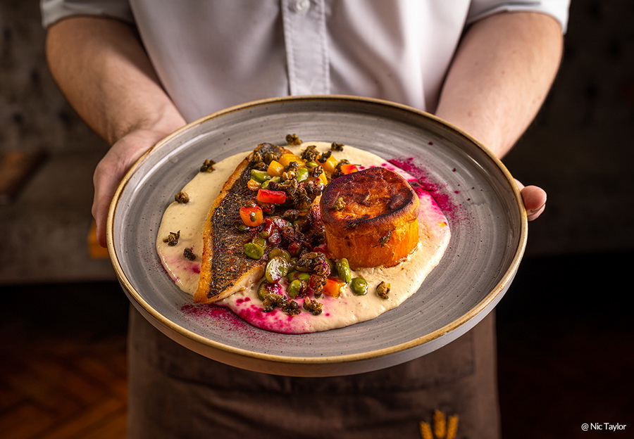 Samyang AF 50mm f/1.4 FE II Lens by in - EC MALL