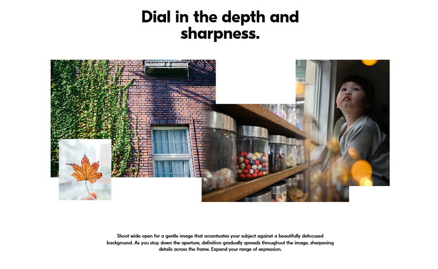 Nikon NIKKOR Z 28-75mm f/2.8 Lens by  in  - EC MALL