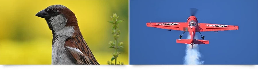 Nikon NIKKOR Z 800mm f/6.3 VR S Lens by  in  - EC MALL