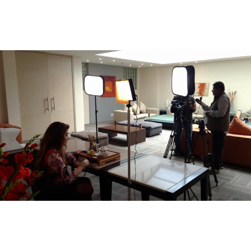 Softbox SB600 Foldable Studio Softbox Diffuser For Yongnuo YN600L II YN900 LED by  in  - EC MALL