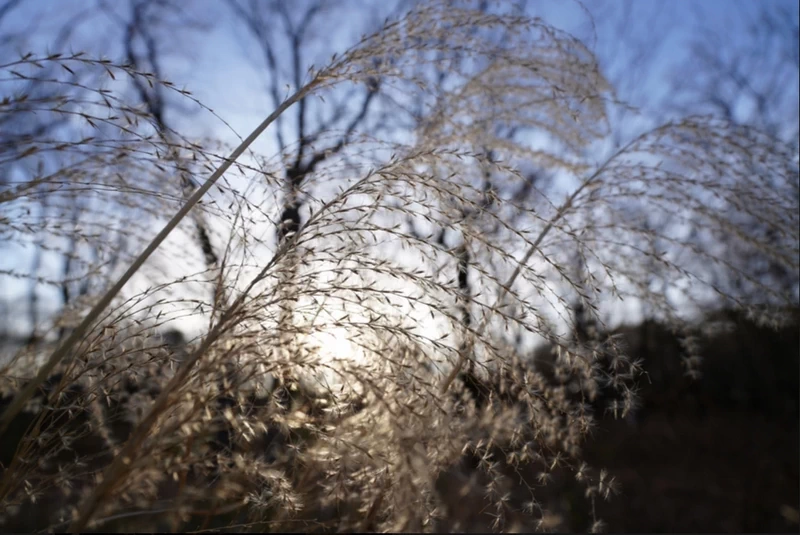 Sony FE PZ 16-35mm f/4 G Lens by  in  - EC MALL