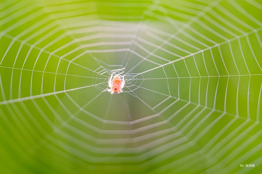 TTArtisan APS-C 40mm f/2.8 Macro Lens by  in  - EC MALL