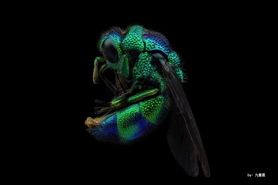 TTArtisan APS-C 40mm f/2.8 Macro Lens by  in  - EC MALL