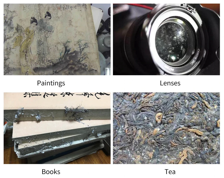 Sirui HC40X Electronic Humidity Control Cabinet ตู้กันชื้น by  in  - EC MALL