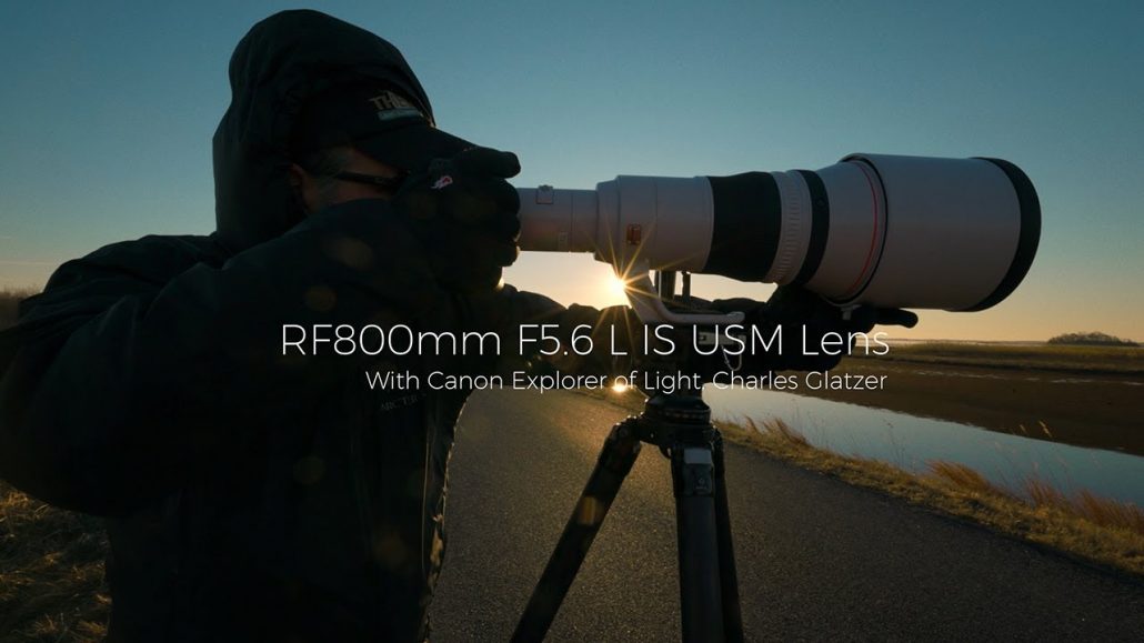 Canon RF 800mm f/5.6 L IS USM Lens by  in  - EC MALL