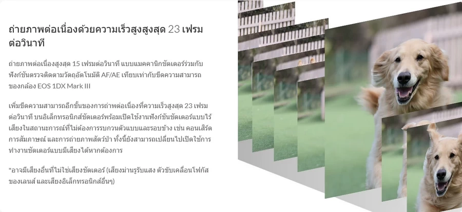 Canon EOS R10 Mirrorless Camera by  in  - EC MALL