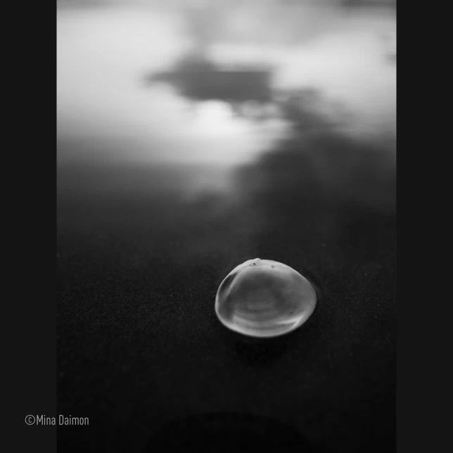 Panasonic Leica DG Summilux 9mm f/1.7 ASPH by  in  - EC MALL