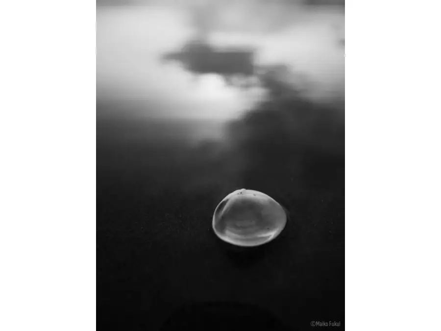 Panasonic Leica DG Summilux 9mm f/1.7 ASPH by  in  - EC MALL