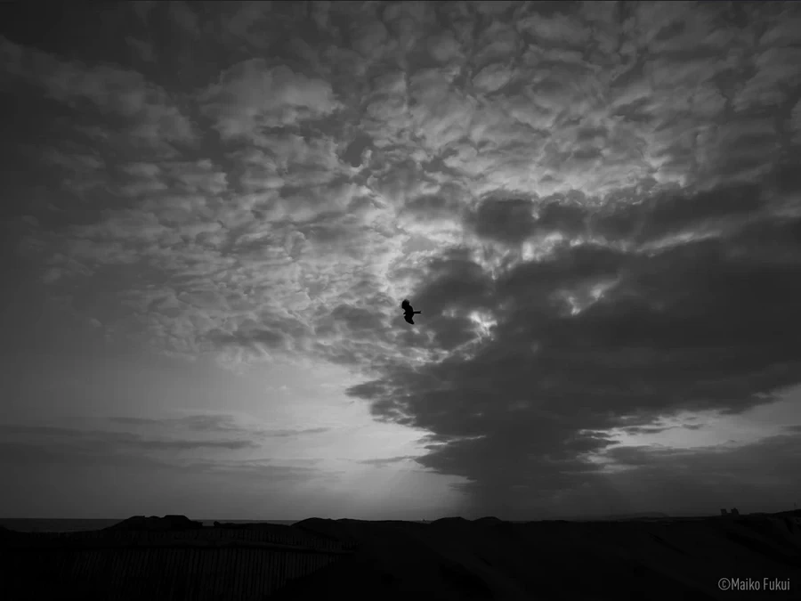 Panasonic Leica DG Summilux 9mm f/1.7 ASPH by  in  - EC MALL