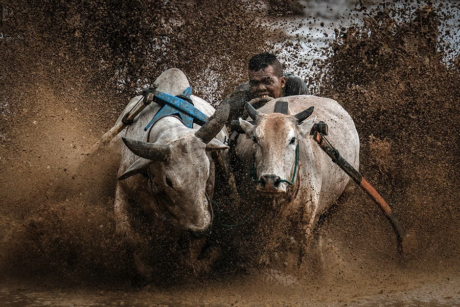 Fujifilm X-H2S by  in  - EC MALL