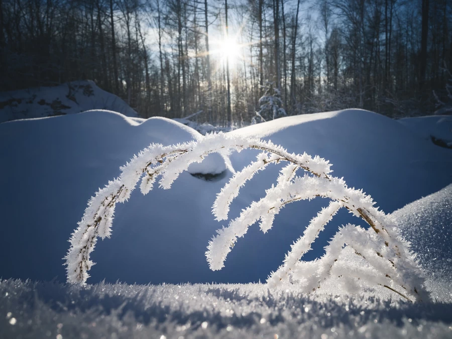 Hasselblad XCD 30mm f/3.5 Lens by  in  - EC MALL