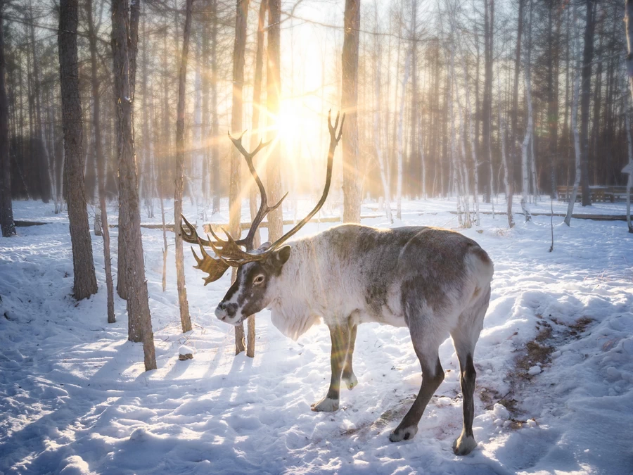 Hasselblad XCD 30mm f/3.5 Lens by  in  - EC MALL