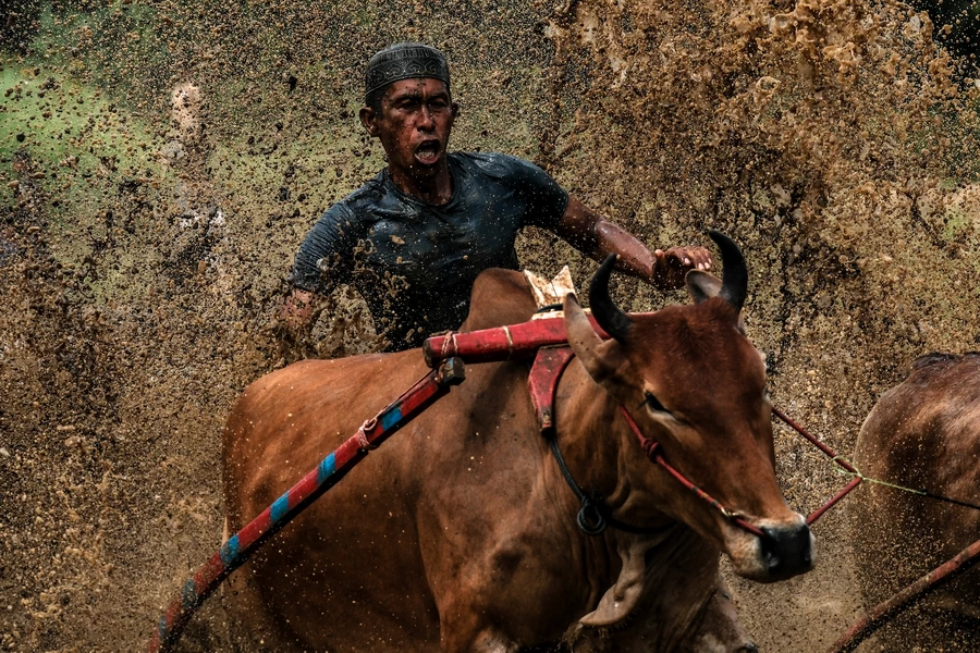 Fujifilm X-H2S by  in  - EC MALL