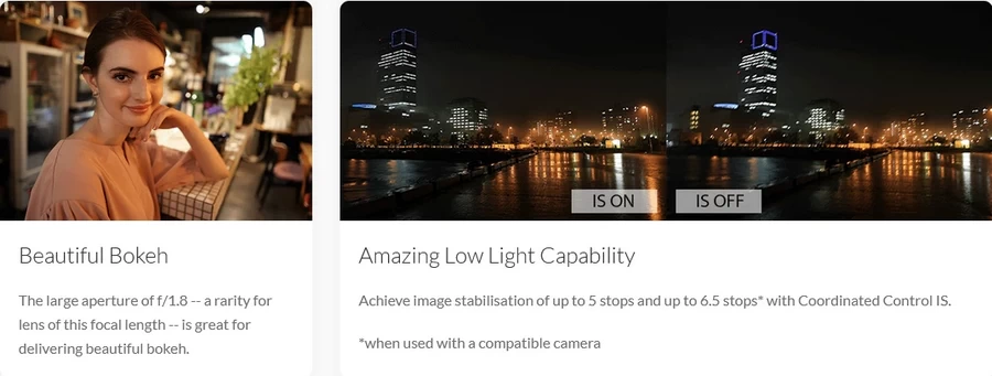Canon RF 24mm f/1.8 Macro IS STM Lens by  in  - EC MALL