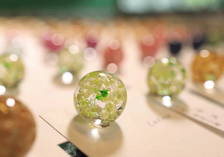 Canon RF 24mm f/1.8 Macro IS STM Lens by  in  - EC MALL