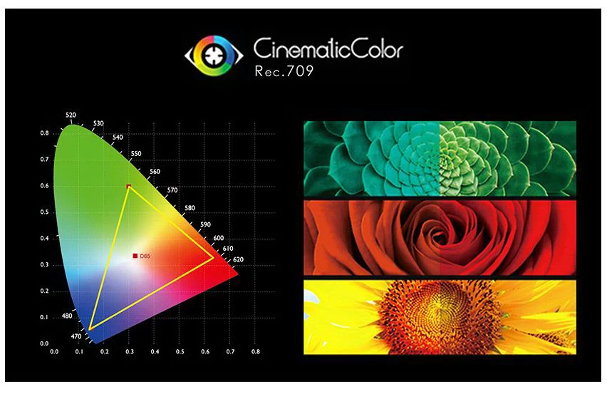 FeelWorld F5 Pro V4 6" Touch Screen DSLR Camera Monitor by  in  - EC MALL