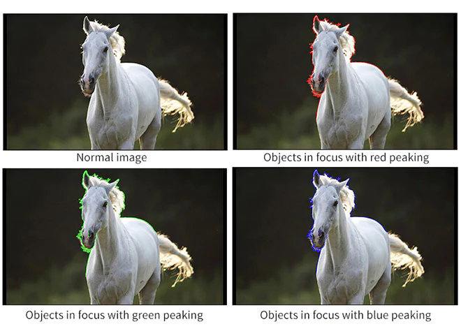 FeelWorld FT6/FR6 5.5" Wriless Video Transmission DSLR Camera Field Touch Monitor 4K HDMI by  in  - EC MALL