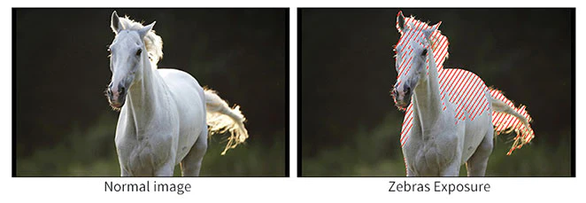 FeelWorld FT6/FR6 5.5" Wriless Video Transmission DSLR Camera Field Touch Monitor 4K HDMI by  in  - EC MALL