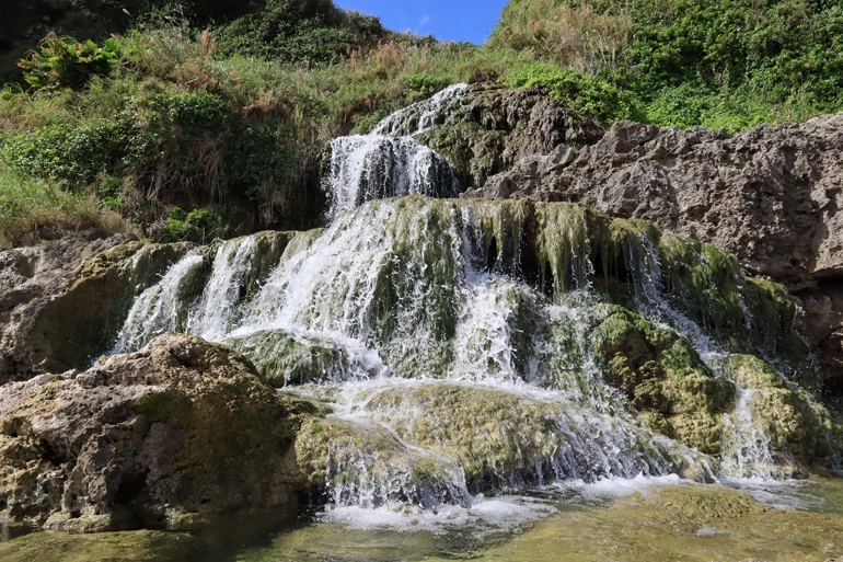 Canon EOS R100 Mirrorless Camera by  in  - EC MALL