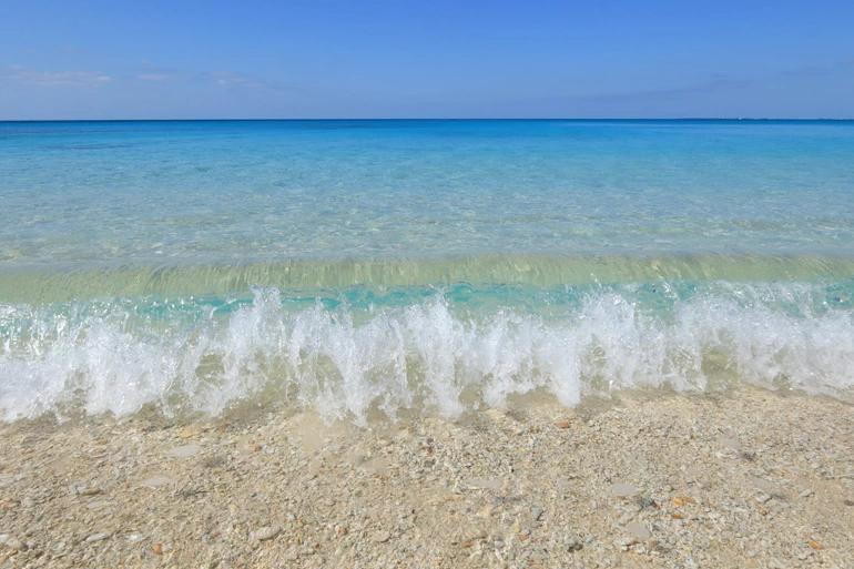 Canon EOS R100 Mirrorless Camera by  in  - EC MALL