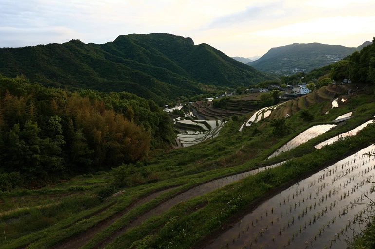 Canon RF 24mm f/1.8 Macro IS STM Lens by  in  - EC MALL