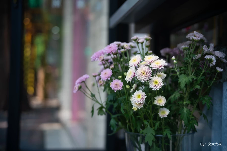 TTArtisan 50mm f/2 by  in  - EC MALL