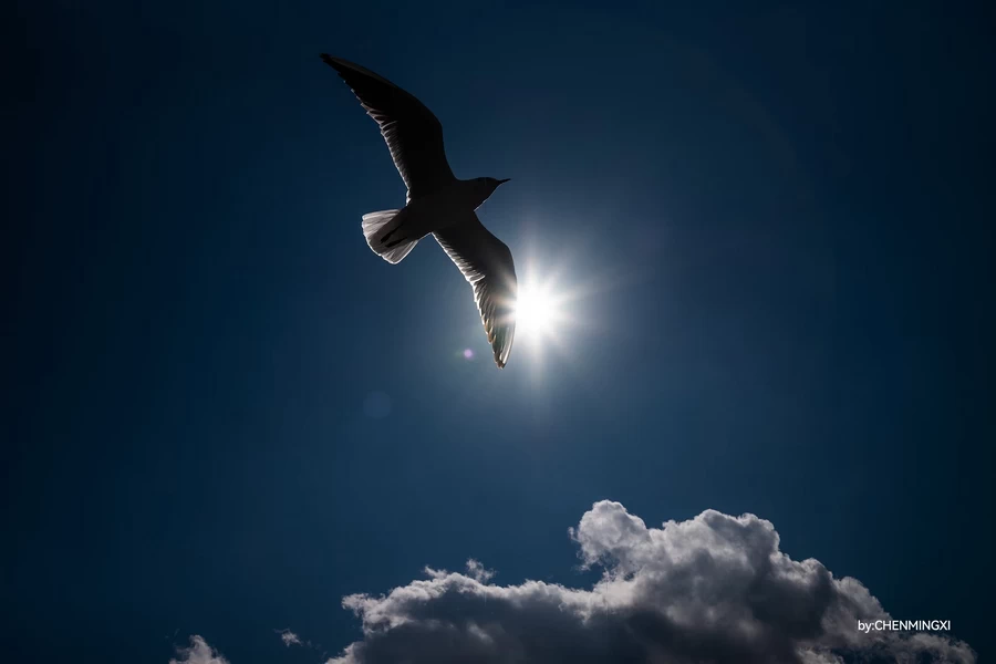 TTArtisan APO-M 35mm f/2 ASPH. by  in  - EC MALL