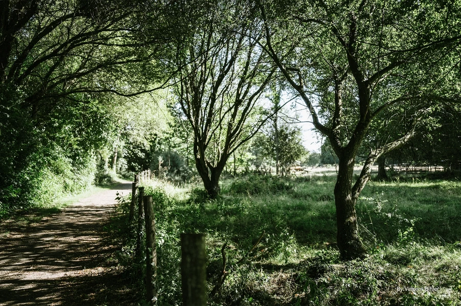 TTArtisan APO-M 35mm f/2 ASPH. by  in  - EC MALL