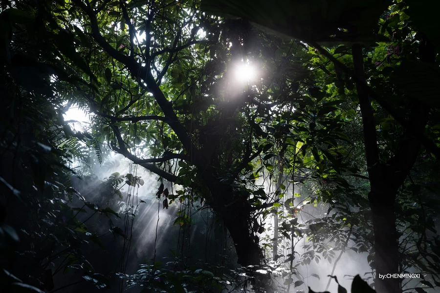 TTArtisan APO-M 35mm f/2 ASPH. by  in  - EC MALL