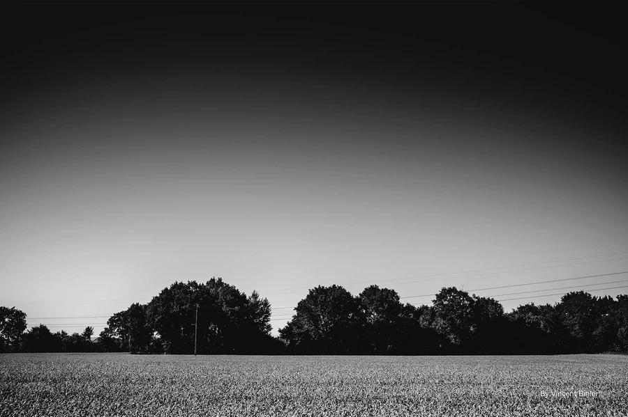 TTArtisan APO-M 35mm f/2 ASPH. by  in  - EC MALL