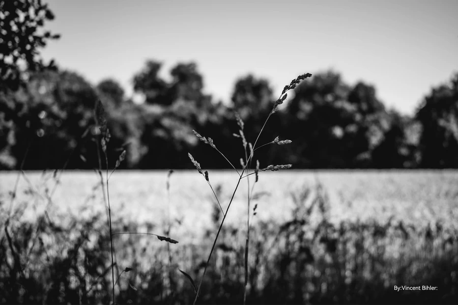 TTArtisan APO-M 35mm f/2 ASPH. by  in  - EC MALL