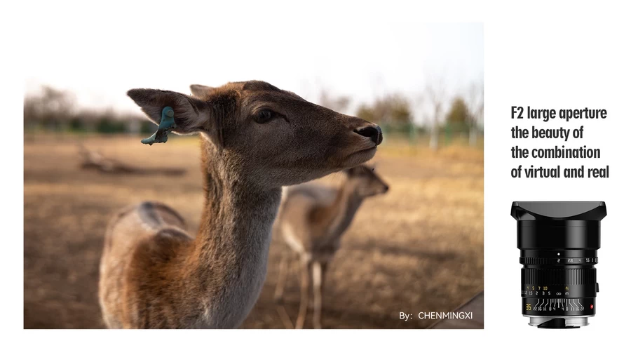 TTArtisan APO-M 35mm f/2 ASPH. by  in  - EC MALL