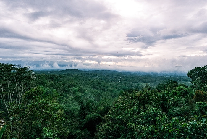 Fujifilm Fujinon XF 70-300mm f/4-5.6 R LM OIS WR Lens by  in  - EC MALL