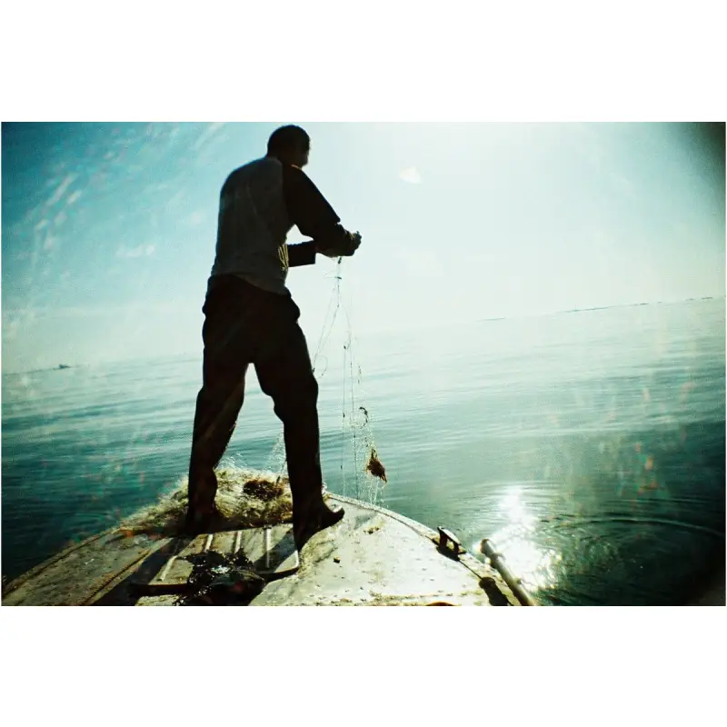 Lomography La Sardina Camera พร้อมแฟลช รุ่น Acapulco Caleta by  in  - EC MALL