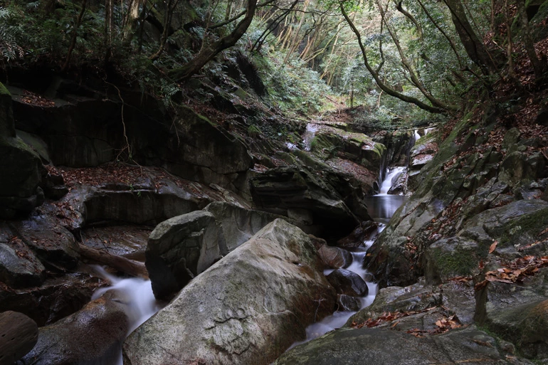 Canon RF-S 18-150mm f/3.5-6.3 IS STM Lens by  in  - EC MALL