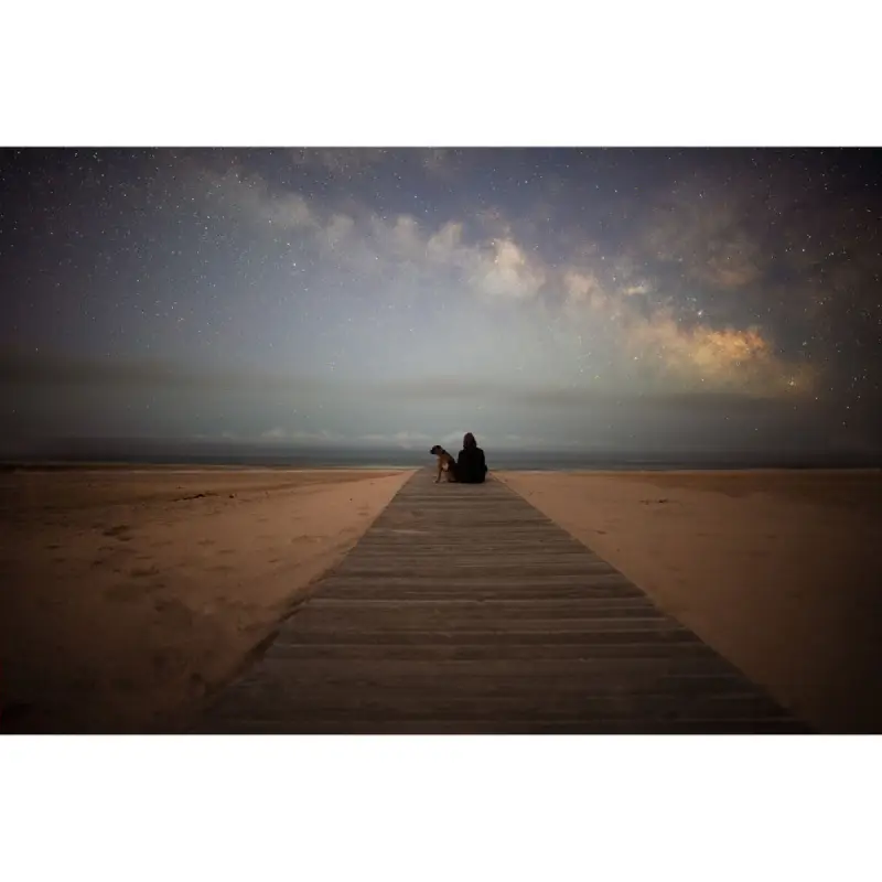 Sigma 20mm f/1.4 DG DN (A) Lens by  in  - EC MALL