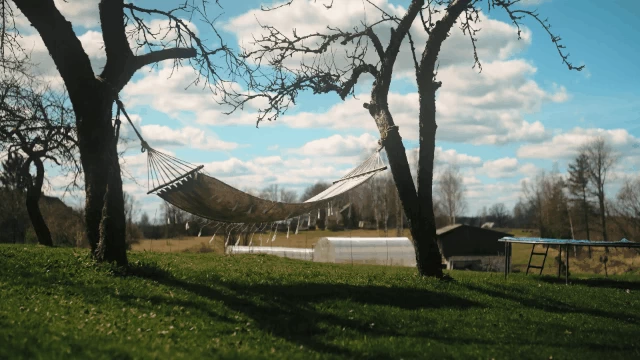 Sirui Jupiter 50mm T2 Full-Frame Macro Cine Lens by  in  - EC MALL