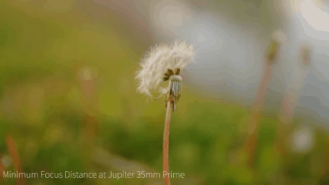 Sirui Jupiter 50mm T2 Full-Frame Macro Cine Lens by  in  - EC MALL