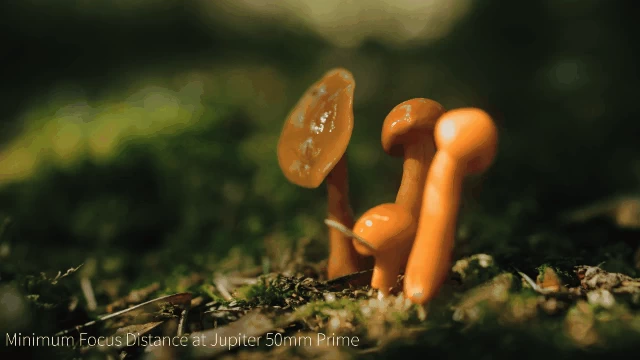 Sirui Jupiter 50mm T2 Full-Frame Macro Cine Lens by  in  - EC MALL