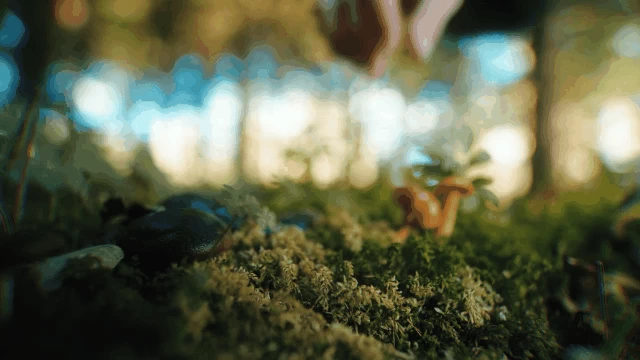 Sirui Jupiter 50mm T2 Full-Frame Macro Cine Lens by  in  - EC MALL