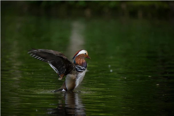 Tamron 50-400mm f/4.5-6.3 Di III VC VXD Lens (Model A067) by  in  - EC MALL