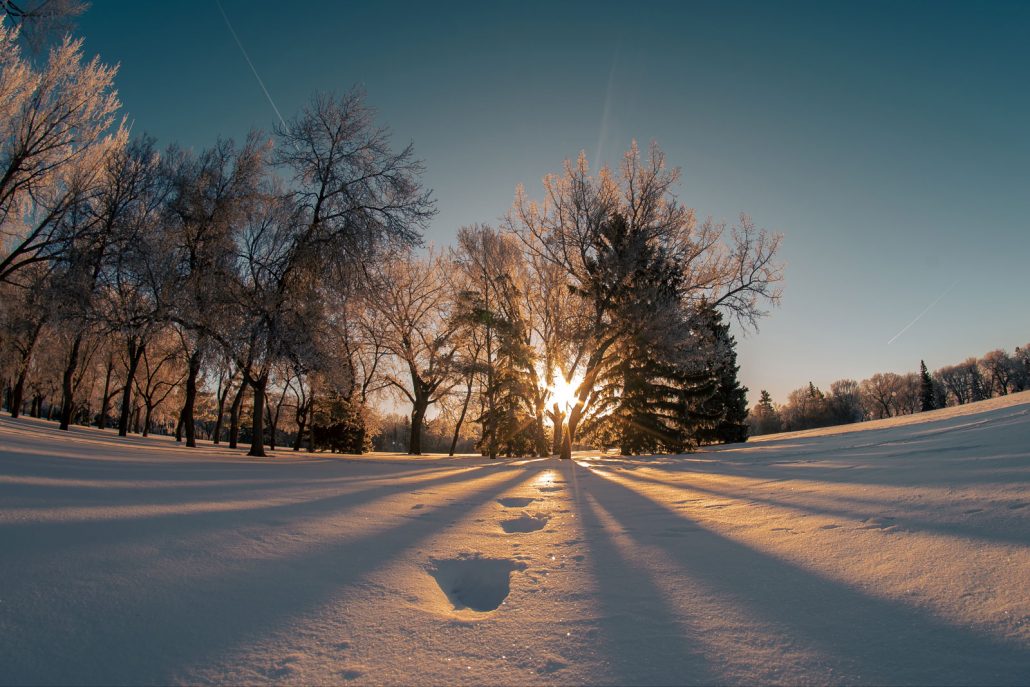 Tokina SZ 8mm f/2.8 Fisheye Lens by  in  - EC MALL