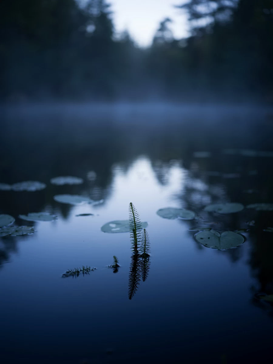 Hasselblad XCD 55mm f/2.5 V Lens by  in  - EC MALL