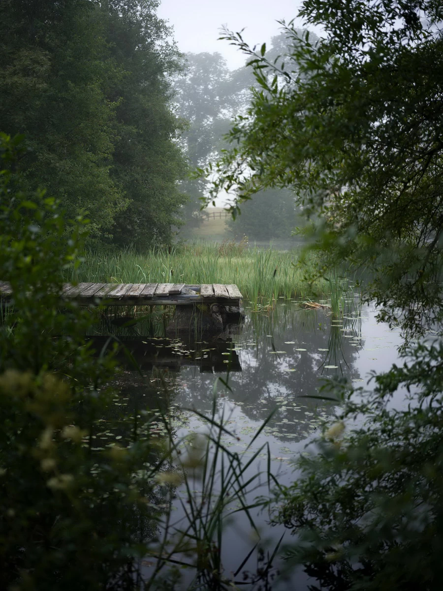 Hasselblad XCD 55mm f/2.5 V Lens by  in  - EC MALL