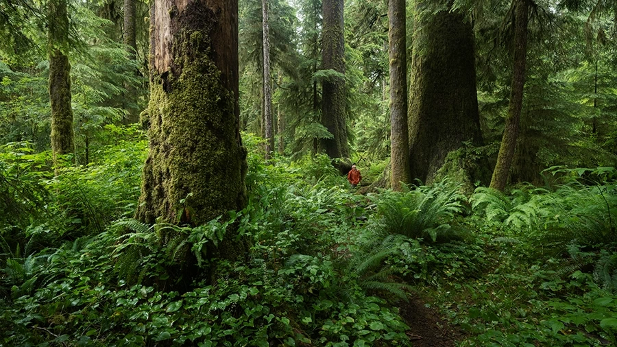 Fujifilm Fujifilm Fujinon GF 20-35mm f/4.0 R WR Lens by  in  - EC MALL