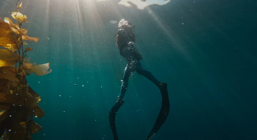 GoPro HERO 11 Black by  in  - EC MALL